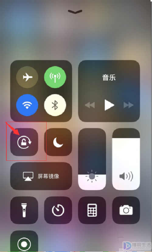 苹果8拍照视频教学中文版(苹果8拍照视频教学中文版怎么设置)