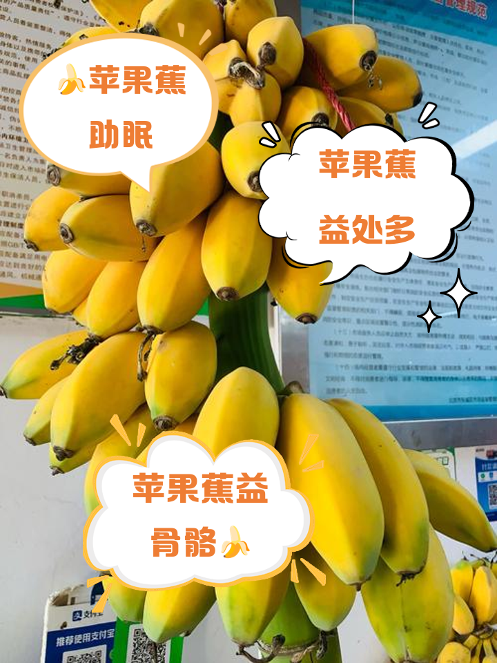 苹果香蕉节奏版(苹果香蕉那首歌叫什么)-第3张图片-有道翻译官网