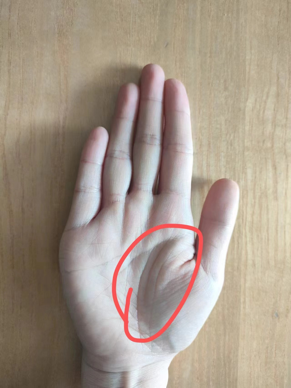 苹果版生命线破解版(生命线ios账号分享)-第42张图片-有道翻译官网